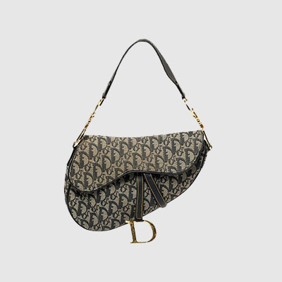 Dior saddle bag